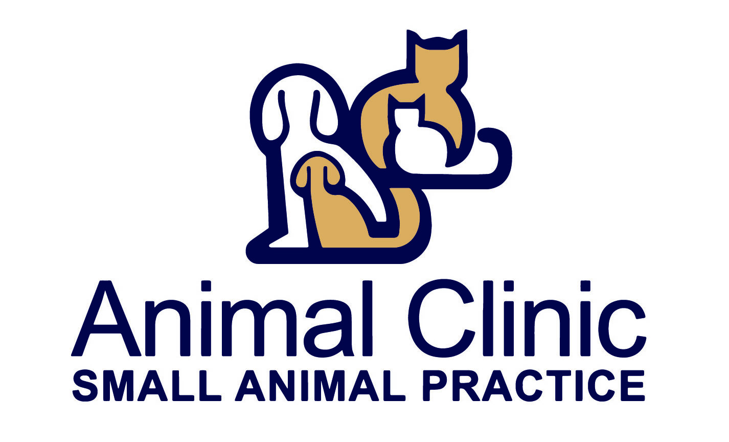 Animal Clinic Small Animal Practice